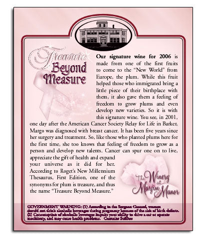 Treasure Beyond Measure